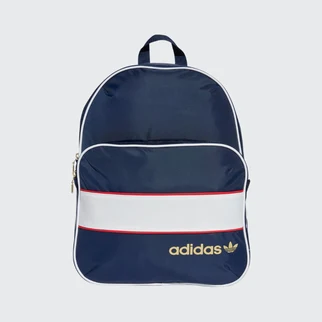 Adidas Blue Backpack