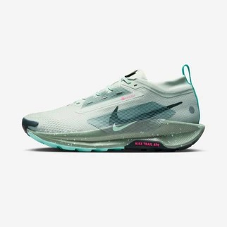 Nike Pegasus Trail 5 GORE-TEX M