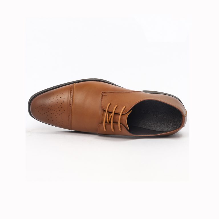 T 505 C -Coffee/R Wing Tip Lace Up Formal Shoes For Men -Caliber Shoes Nepal