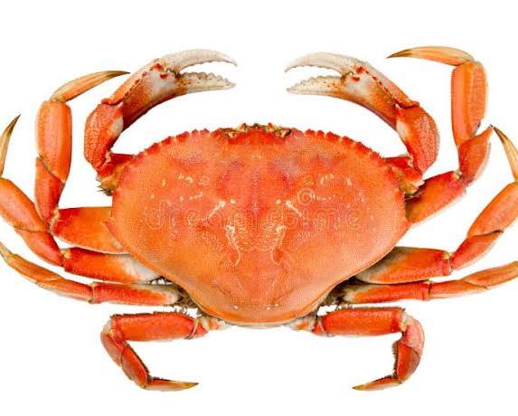 Crab  big whole