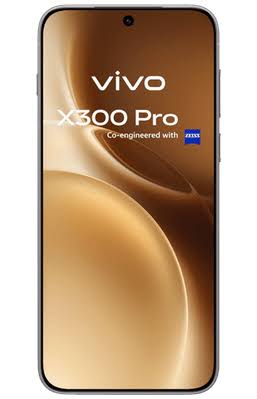 Vivo X300 Pro