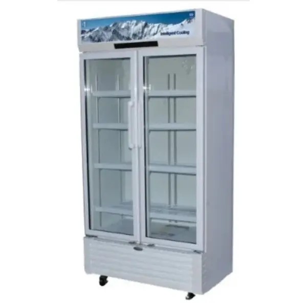 810 Liter Show Case